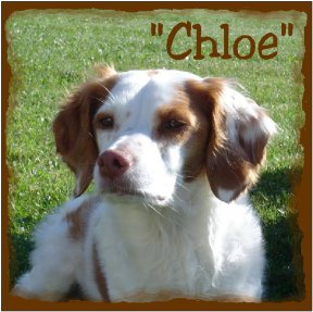 photo of Chloe