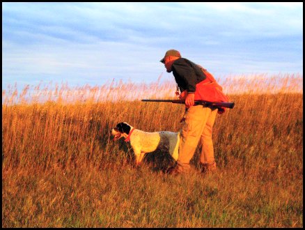 Tom in the field