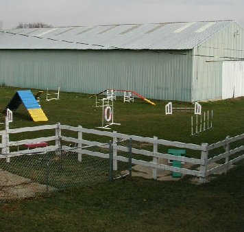 photo of agility area