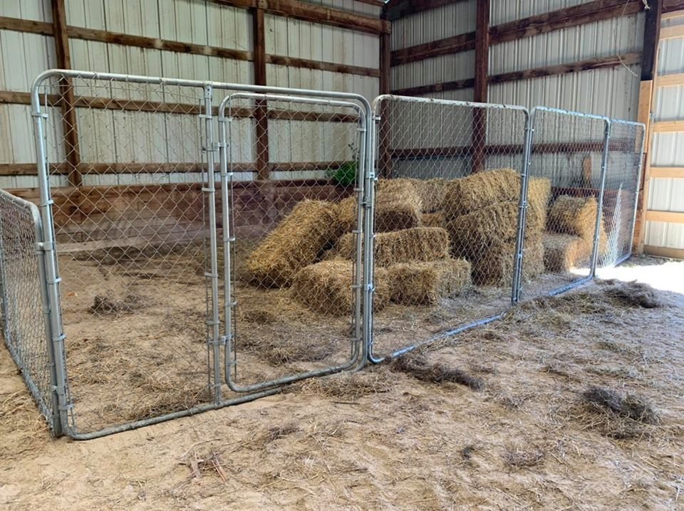 new barn hunt ring